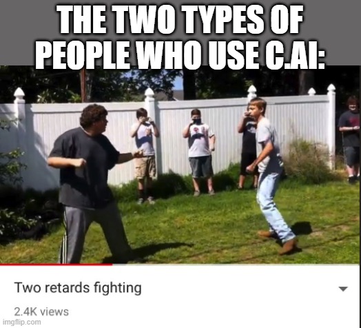 Two retards fighting | THE TWO TYPES OF PEOPLE WHO USE C.AI: | image tagged in two retards fighting | made w/ Imgflip meme maker