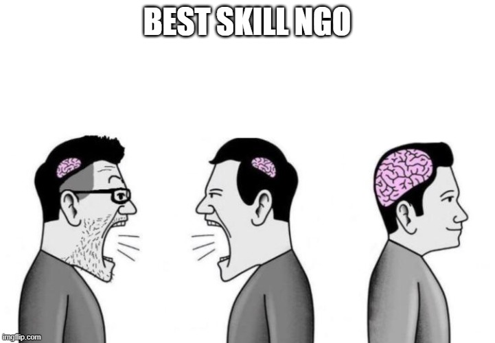 Small Brains Arguing | BEST SKILL NGO | image tagged in small brains arguing | made w/ Imgflip meme maker