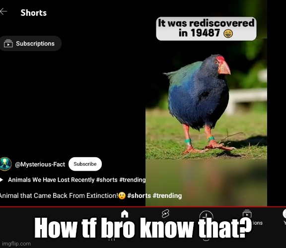 How tf bro know that? | image tagged in abracadabra | made w/ Imgflip meme maker