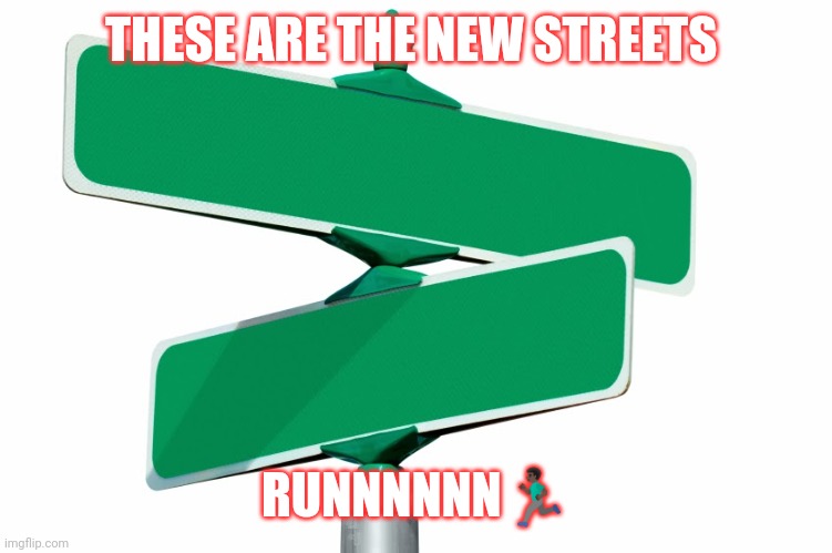 Blank Street Signs | THESE ARE THE NEW STREETS; RUNNNNNN🏃🏿‍♂️ | image tagged in blank street signs | made w/ Imgflip meme maker