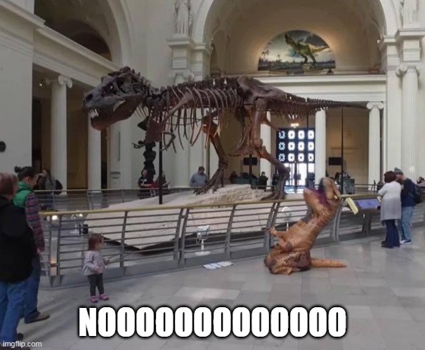 Nooooooooooooo | NOOOOOOOOOOOOO | image tagged in dinosaur,meteor,dinosaurs meteor,dark humor,funny | made w/ Imgflip meme maker