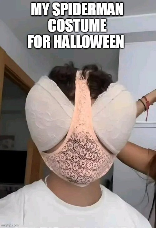 my spiderman costume for halloween | MY SPIDERMAN COSTUME FOR HALLOWEEN | image tagged in spiderman,humor,halloween,costume,underwear | made w/ Imgflip meme maker