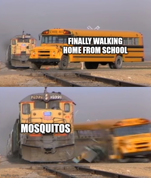 A train hitting a school bus | FINALLY WALKING HOME FROM SCHOOL; MOSQUITOS | image tagged in a train hitting a school bus | made w/ Imgflip meme maker