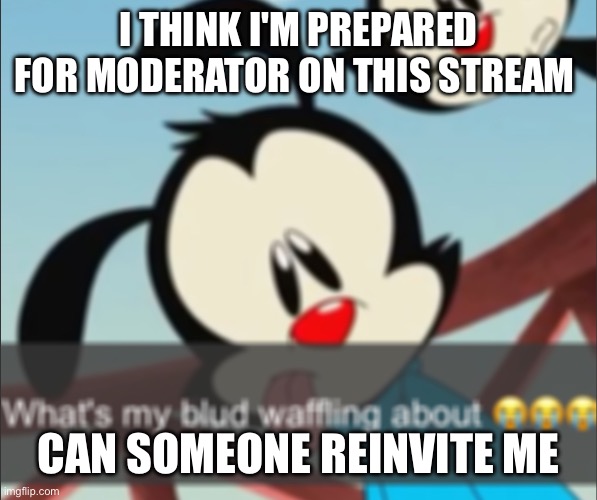 Wakko what's my blud waffling about | I THINK I'M PREPARED FOR MODERATOR ON THIS STREAM; CAN SOMEONE REINVITE ME | image tagged in wakko what's my blud waffling about | made w/ Imgflip meme maker