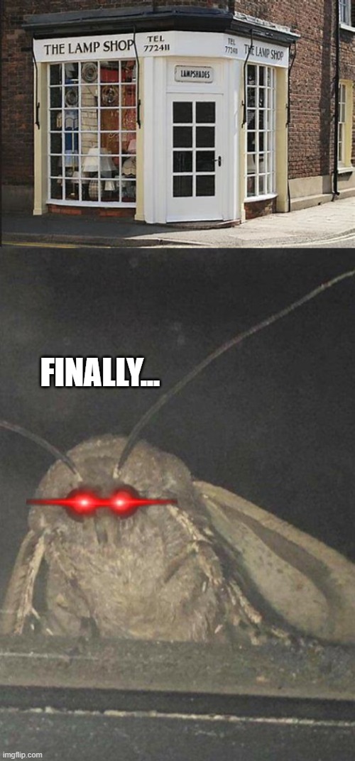 FINALLY... | image tagged in moth | made w/ Imgflip meme maker