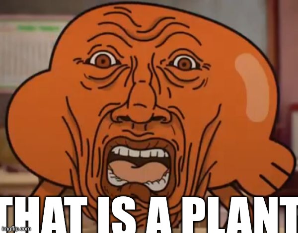 ㅤ | THAT IS A PLANT | image tagged in gumball darwin upset | made w/ Imgflip meme maker