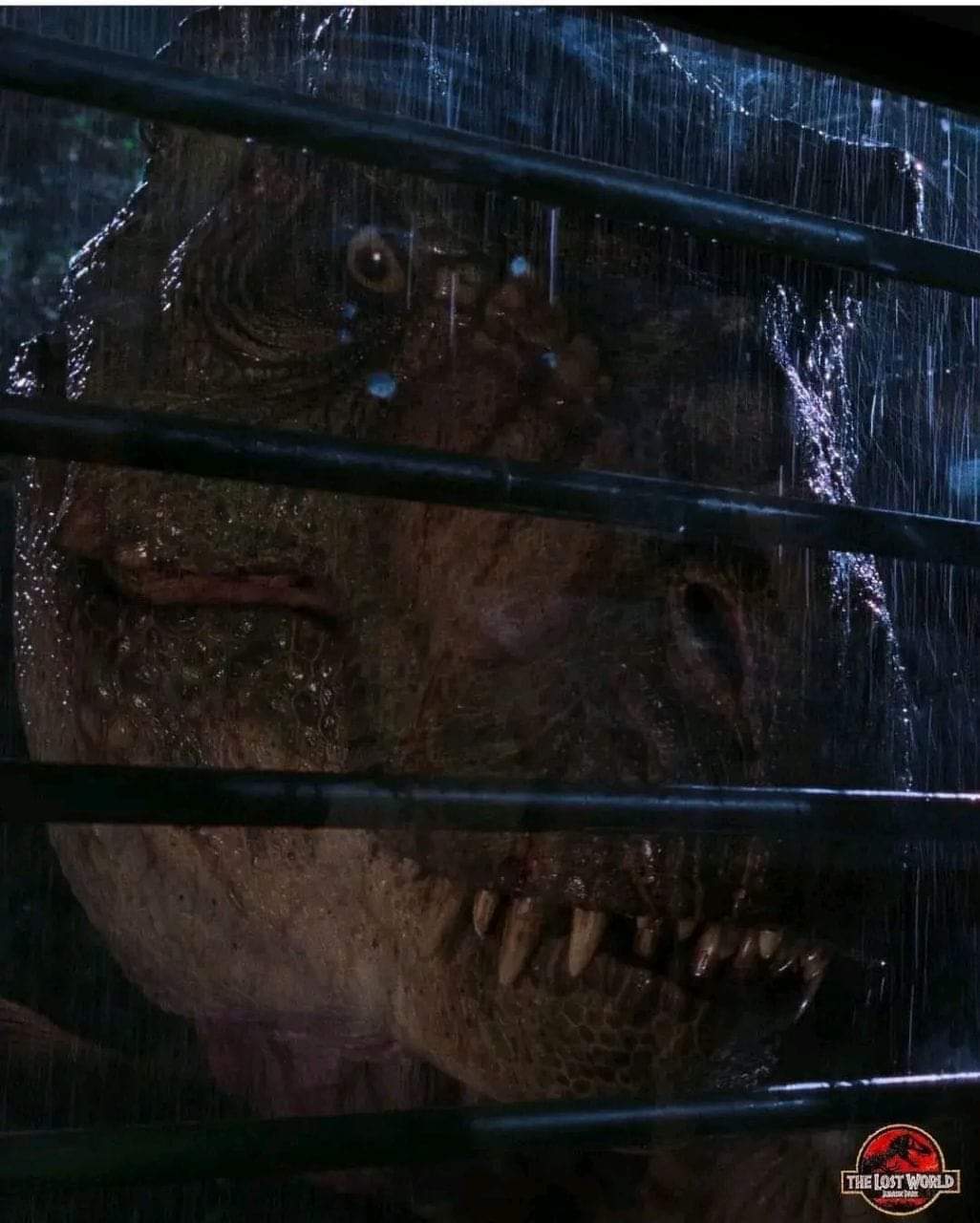 TRex lookin through window Blank Meme Template