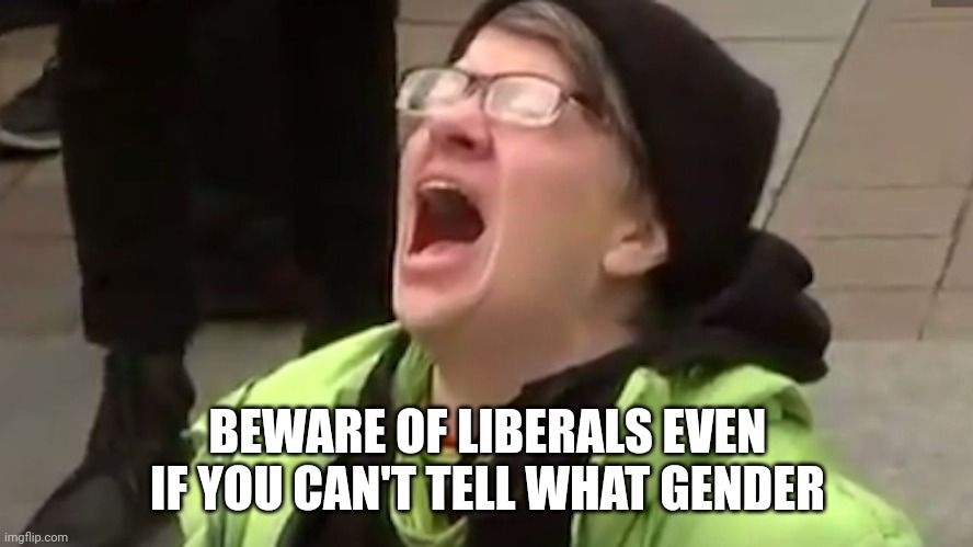 Screaming Liberal  | BEWARE OF LIBERALS EVEN IF YOU CAN'T TELL WHAT GENDER | image tagged in screaming liberal | made w/ Imgflip meme maker
