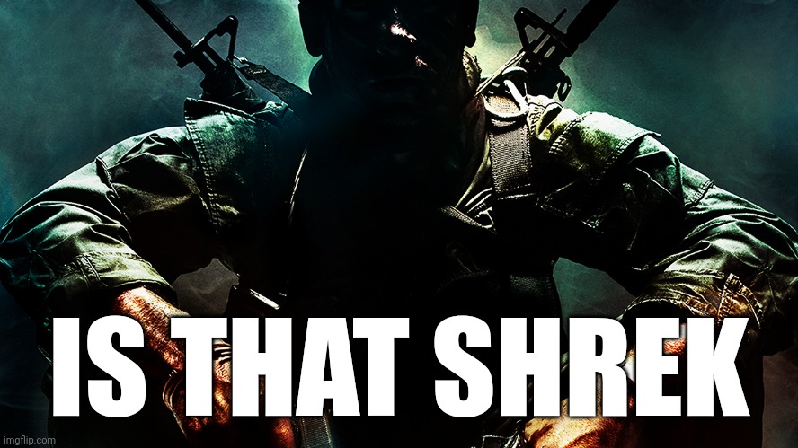 Black ops guy | IS THAT SHREK | image tagged in black ops guy | made w/ Imgflip meme maker