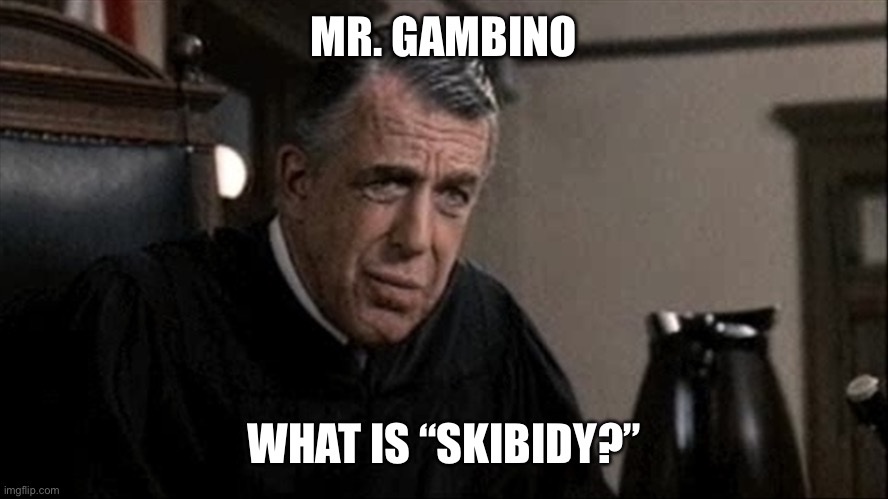 My cousin vinny judge | MR. GAMBINO; WHAT IS “SKIBIDY?” | image tagged in my cousin vinny judge | made w/ Imgflip meme maker