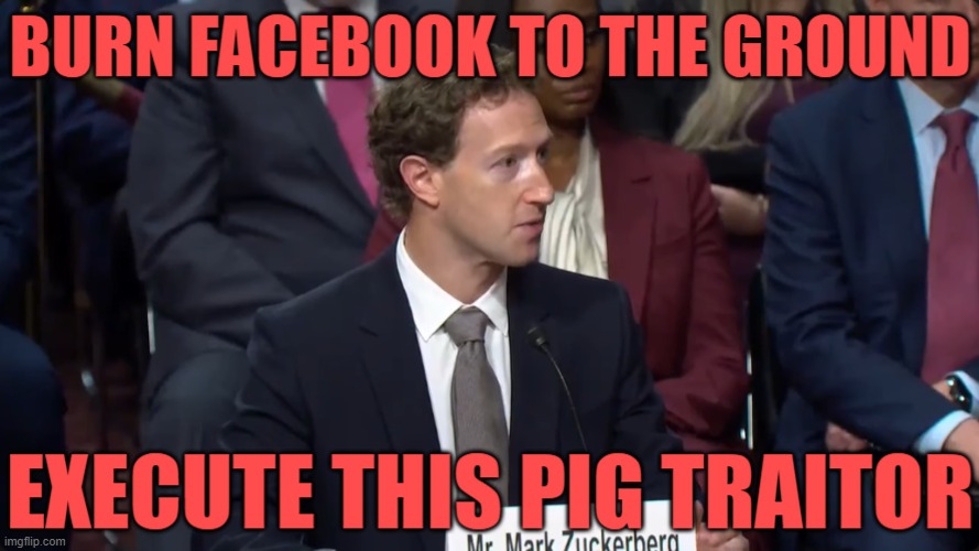 AND ALL THE PIG FEDS THAT MADE THIS HAPPEN | image tagged in pigs,traitors,execute them all,facebook sucks,election interferance is treason | made w/ Imgflip meme maker