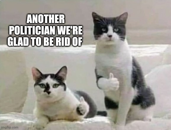 Thumbs up Cats | ANOTHER POLITICIAN WE'RE GLAD TO BE RID OF | image tagged in thumbs up cats | made w/ Imgflip meme maker