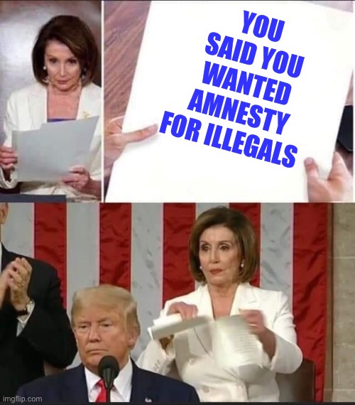 She said it | YOU SAID YOU WANTED AMNESTY FOR ILLEGALS | image tagged in nancy pelosi tears speech,politics,political meme,illegal immigration,democrats | made w/ Imgflip meme maker