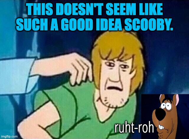 Scooby Doo Shaggy  | THIS DOESN'T SEEM LIKE SUCH A GOOD IDEA SCOOBY. ruht-roh | image tagged in scooby doo shaggy | made w/ Imgflip meme maker