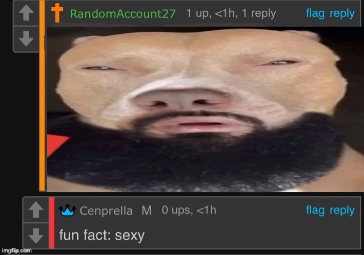 fun fact: sexy | image tagged in fun fact sexy | made w/ Imgflip meme maker