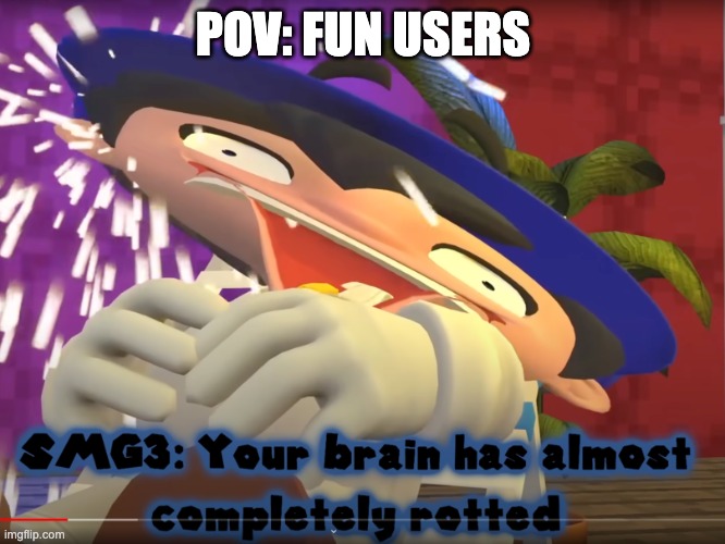 your brain has almost completely rotted | POV: FUN USERS | image tagged in your brain has almost completely rotted | made w/ Imgflip meme maker