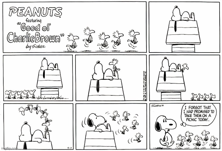 Random Peanuts posting day 1 | image tagged in peanuts | made w/ Imgflip meme maker