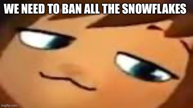 smug hat kid.mp4 | WE NEED TO BAN ALL THE SNOWFLAKES | image tagged in smug hat kid mp4 | made w/ Imgflip meme maker