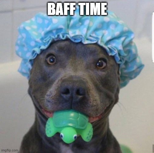Dog Bath | BAFF TIME | image tagged in dogs | made w/ Imgflip meme maker