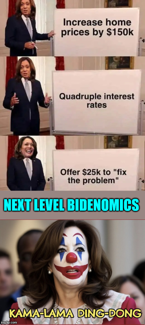 Next level Bidenomics... | NEXT LEVEL BIDENOMICS | image tagged in scamala harris,complete the destruction of america | made w/ Imgflip meme maker