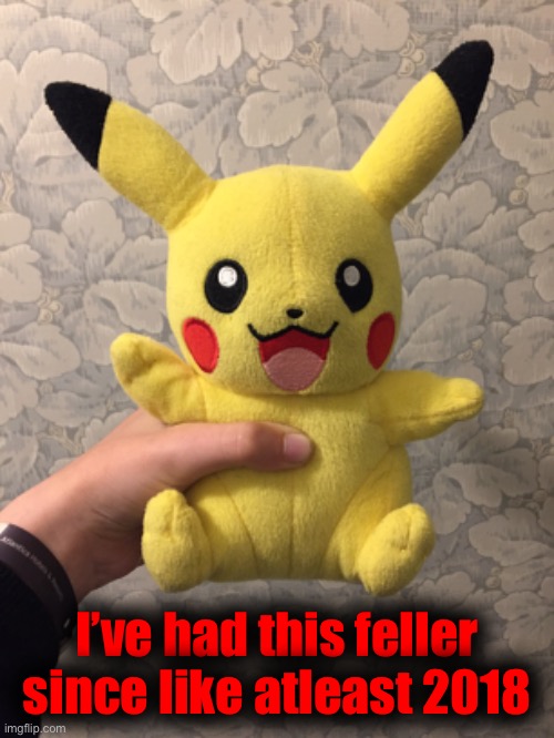 Imma clean it for a while | I’ve had this feller since like atleast 2018 | made w/ Imgflip meme maker