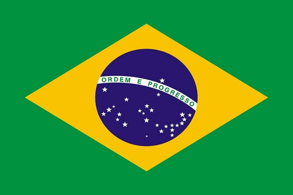 Brazil National Flag Blank Meme Template