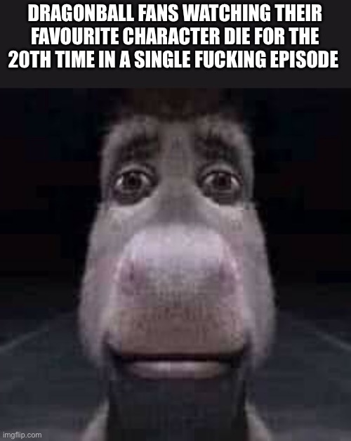 Donkey staring | DRAGONBALL FANS WATCHING THEIR FAVOURITE CHARACTER DIE FOR THE 20TH TIME IN A SINGLE FUCKING EPISODE | image tagged in donkey staring | made w/ Imgflip meme maker