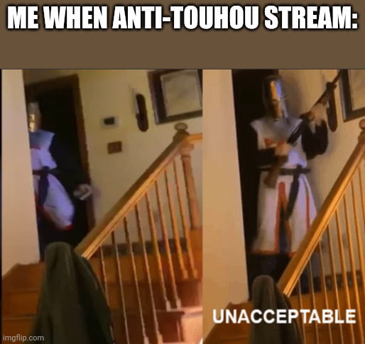 Unacceptable | ME WHEN ANTI-TOUHOU STREAM: | image tagged in unacceptable | made w/ Imgflip meme maker