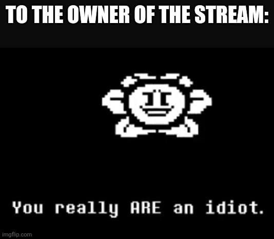 You really are an idiot | TO THE OWNER OF THE STREAM: | image tagged in you really are an idiot | made w/ Imgflip meme maker