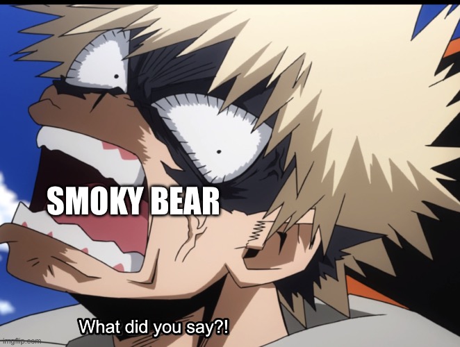 Bakugo's What did you say?! | SMOKY BEAR | image tagged in bakugo's what did you say | made w/ Imgflip meme maker
