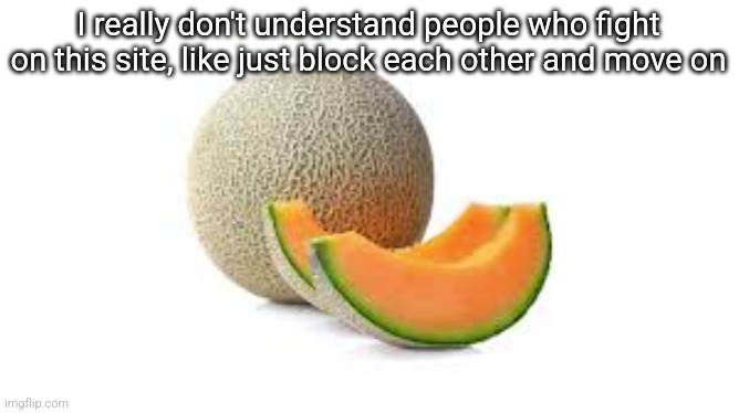 Yahiamice Cantaloupe | I really don't understand people who fight on this site, like just block each other and move on | image tagged in yahiamice cantaloupe | made w/ Imgflip meme maker