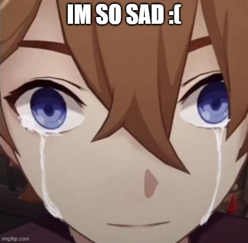 CHilde crying | IM SO SAD :( | image tagged in childe crying | made w/ Imgflip meme maker