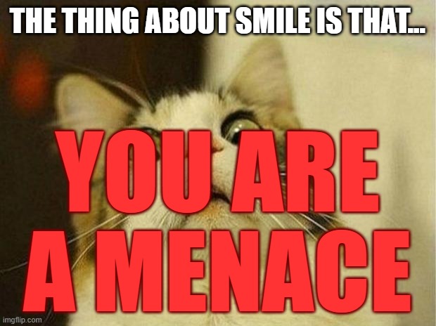 Smile users be like: | THE THING ABOUT SMILE IS THAT... YOU ARE A MENACE | image tagged in memes,scared cat | made w/ Imgflip meme maker