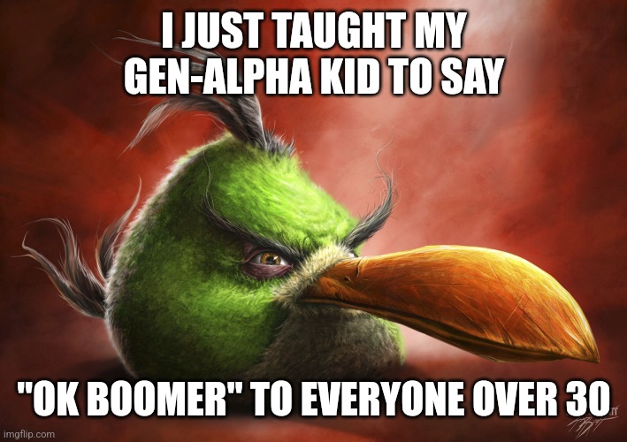 I fr did that | I JUST TAUGHT MY GEN-ALPHA KID TO SAY; "OK BOOMER" TO EVERYONE OVER 30 | image tagged in realistic angry bird | made w/ Imgflip meme maker