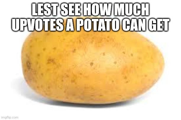 Potato | LEST SEE HOW MUCH UPVOTES A POTATO CAN GET | image tagged in potato | made w/ Imgflip meme maker