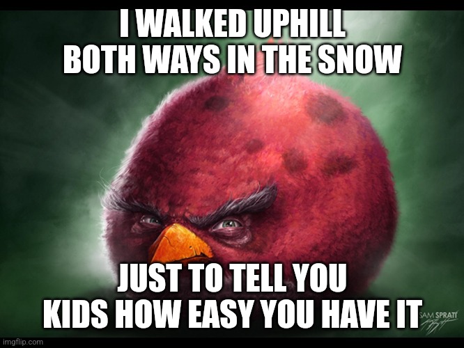 Grandparents be like | I WALKED UPHILL BOTH WAYS IN THE SNOW; JUST TO TELL YOU KIDS HOW EASY YOU HAVE IT | image tagged in realistic angry bird big red | made w/ Imgflip meme maker