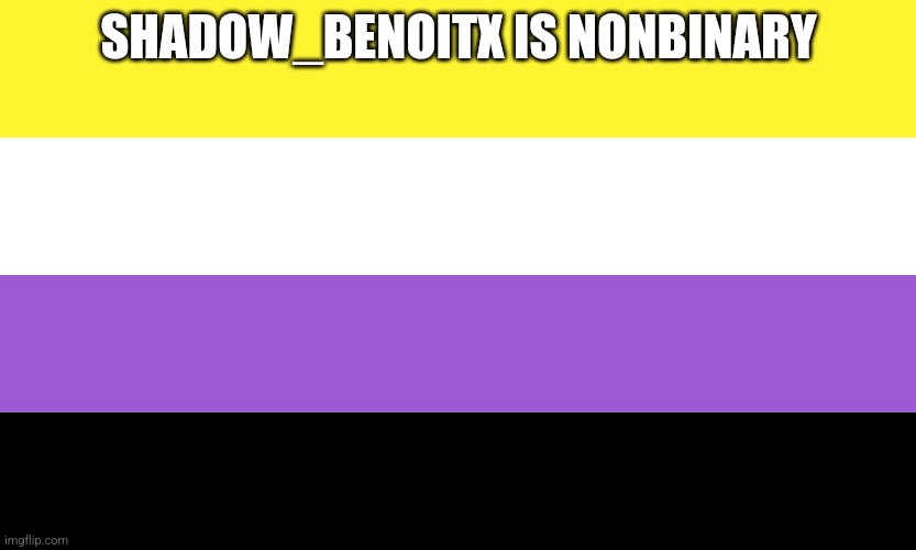 @skibidigyattonlyinohio69 | SHADOW_BENOITX IS NONBINARY | image tagged in nonbinary | made w/ Imgflip meme maker