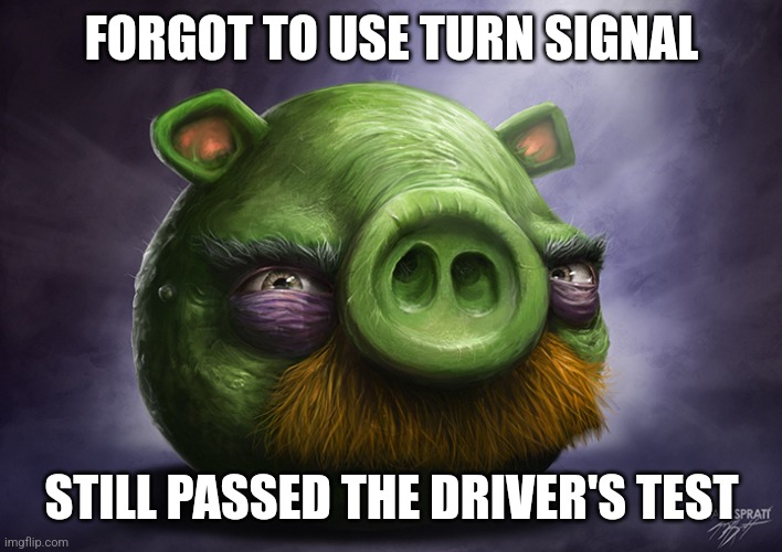 Yayy I passed | FORGOT TO USE TURN SIGNAL; STILL PASSED THE DRIVER'S TEST | image tagged in realistic angry birds | made w/ Imgflip meme maker