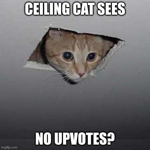 upvote now!!! | CEILING CAT SEES; NO UPVOTES? | image tagged in memes,ceiling cat | made w/ Imgflip meme maker