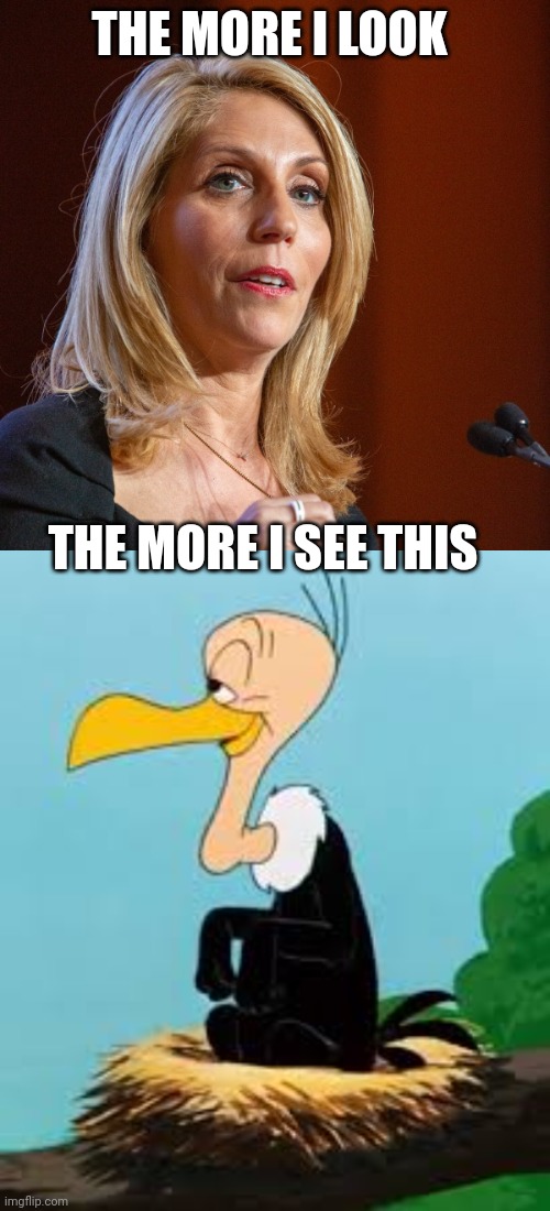 Dana Bash meme | THE MORE I LOOK; THE MORE I SEE THIS | image tagged in cnn | made w/ Imgflip meme maker