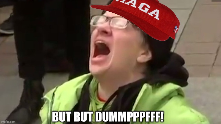 Screaming Liberal  | BUT BUT DUMMPPPFFF! | image tagged in screaming liberal | made w/ Imgflip meme maker