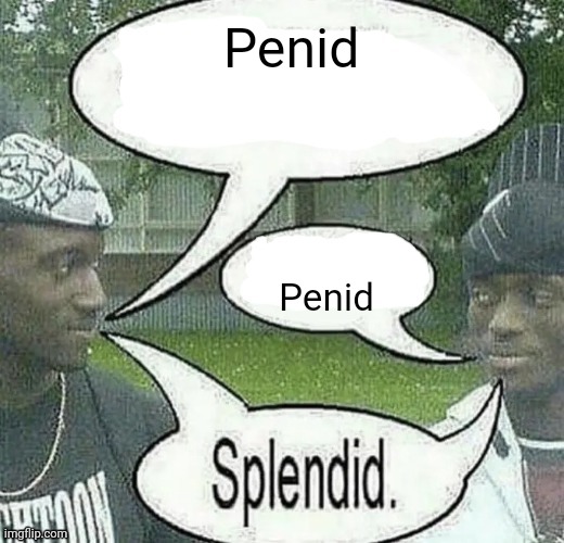 We sell crack Splendid | Penid; Penid | image tagged in we sell crack splendid | made w/ Imgflip meme maker