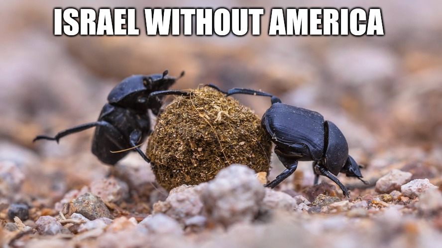 Independent Israel | ISRAEL WITHOUT AMERICA | image tagged in israel,funny memes | made w/ Imgflip meme maker