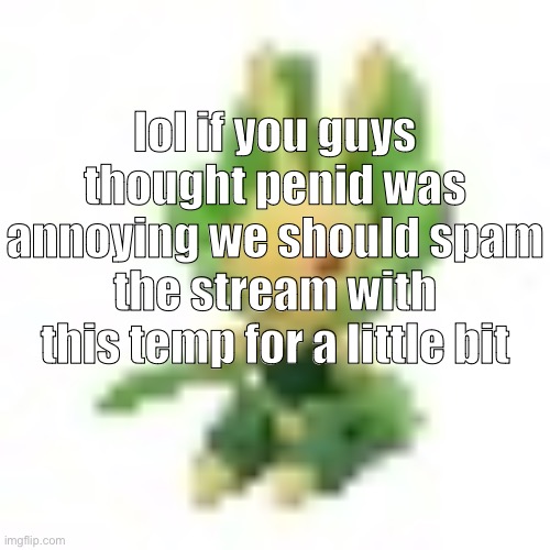 144p Leavanny | lol if you guys thought penid was annoying we should spam the stream with this temp for a little bit | image tagged in 144p leavanny | made w/ Imgflip meme maker