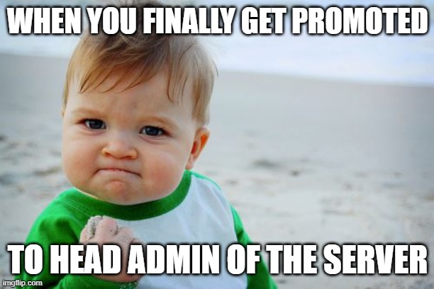 WHEN YOU FINALLY GET PROMOTED TO HEAD ADMIN OF THE SERVER | image tagged in memes,success kid original | made w/ Imgflip meme maker