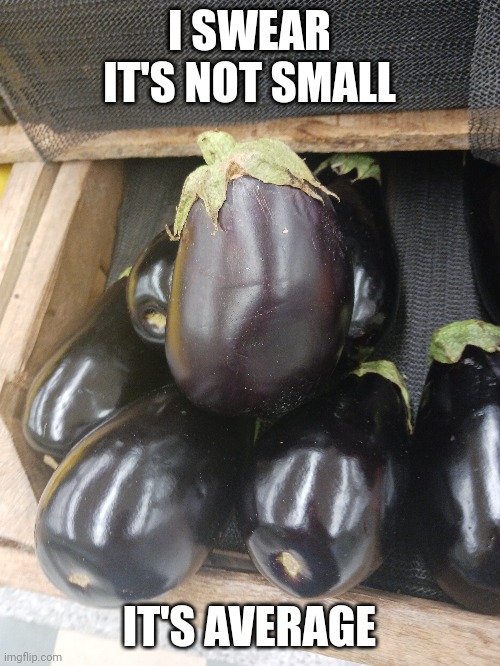 I SWEAR IT'S NOT SMALL; IT'S AVERAGE | image tagged in egg,plant | made w/ Imgflip meme maker