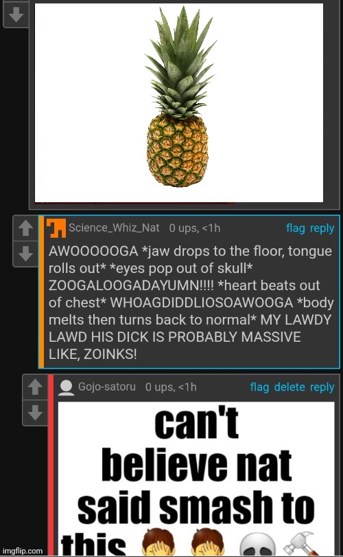 Pinapol | image tagged in can't believe nat said smash to this | made w/ Imgflip meme maker