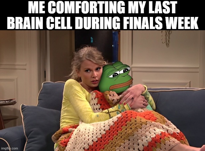 last brain cell | ME COMFORTING MY LAST BRAIN CELL DURING FINALS WEEK | image tagged in memes | made w/ Imgflip meme maker