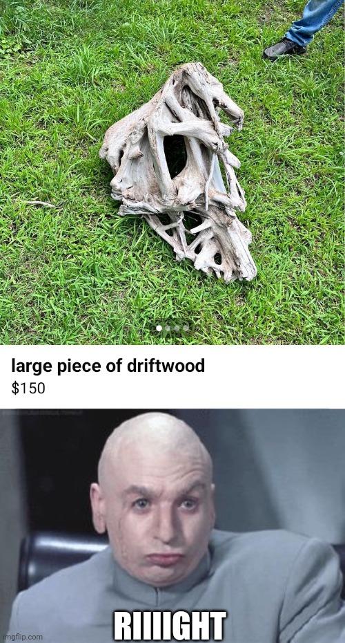 MAN I CAN JUST GET THAT FROM THE BEACH | RIIIIGHT | image tagged in dr evil right,wood,lake,facebook | made w/ Imgflip meme maker