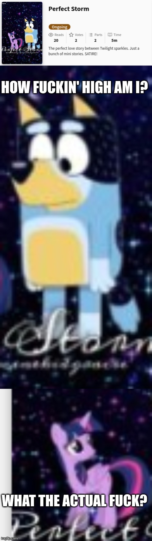 more cursed wattpaq crud | HOW FUCKIN' HIGH AM I? WHAT THE ACTUAL FUCK? | image tagged in wattpad,bluey,mlp,mlp fim,mlp meme,bandit | made w/ Imgflip meme maker
